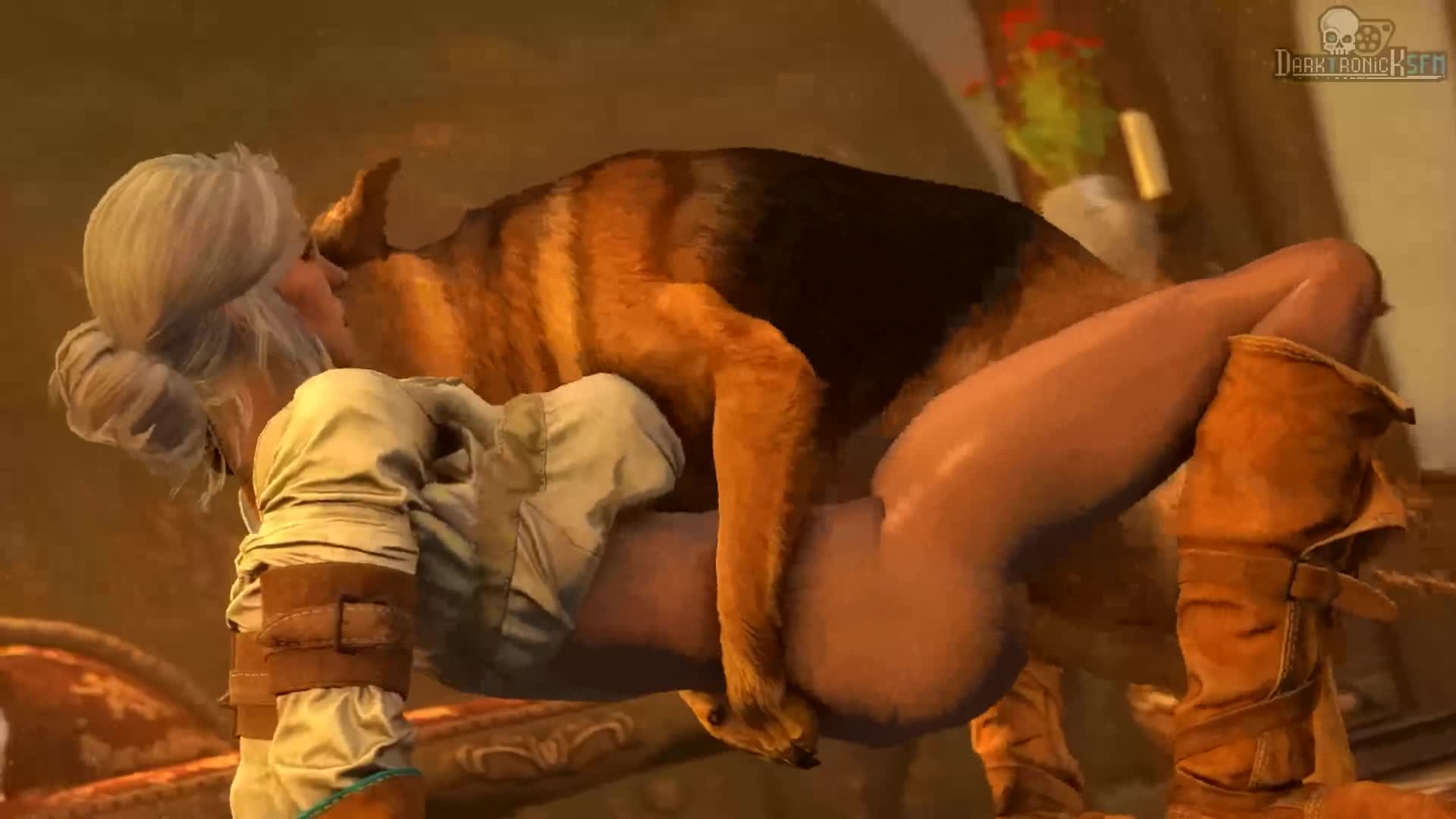 The Witcher Анимации. 