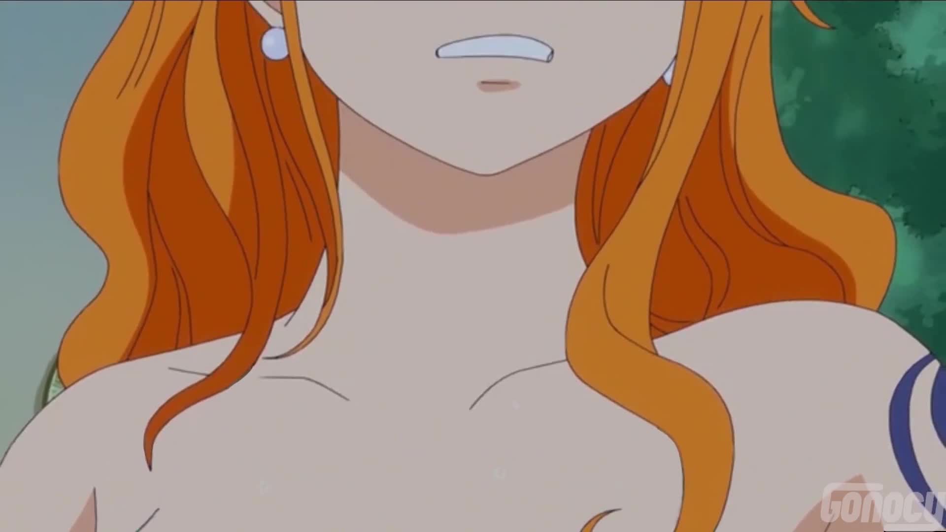 One Piece Nami Breasts Animated - Lewd.ninja.
