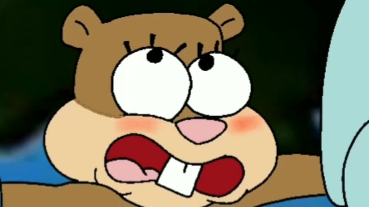 Nickelodeon Sandy Cheeks Animal Humanoid Animated - Lewd.ninja