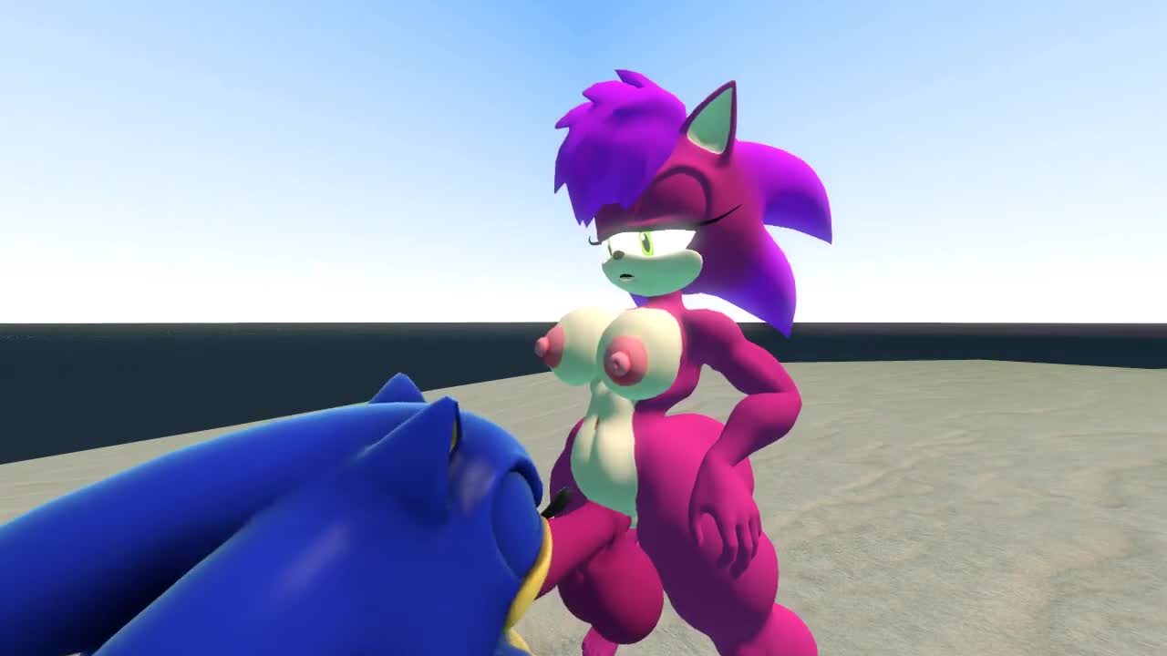 Sonic (series) Sonia The Hedgehog Blowjob Animated - Lewd.ninja
