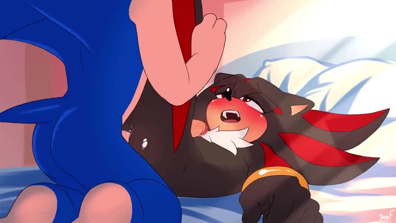 Sonic Gay Porn - Sonic (series) Shadow The Hedgehog Anal Sex Animated - Lewd.ninja