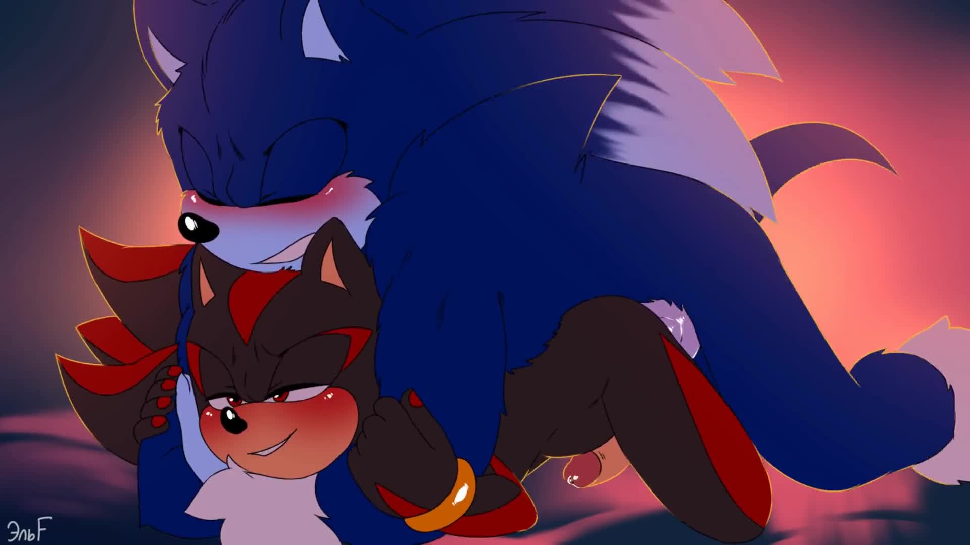 Sonic (series) Shadow The Hedgehog Anal Tagme - Lewd.ninja