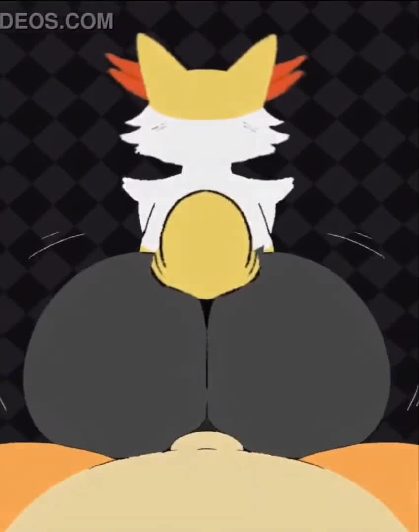 Beat Banger Braixen 1boy Animated - Lewd.ninja