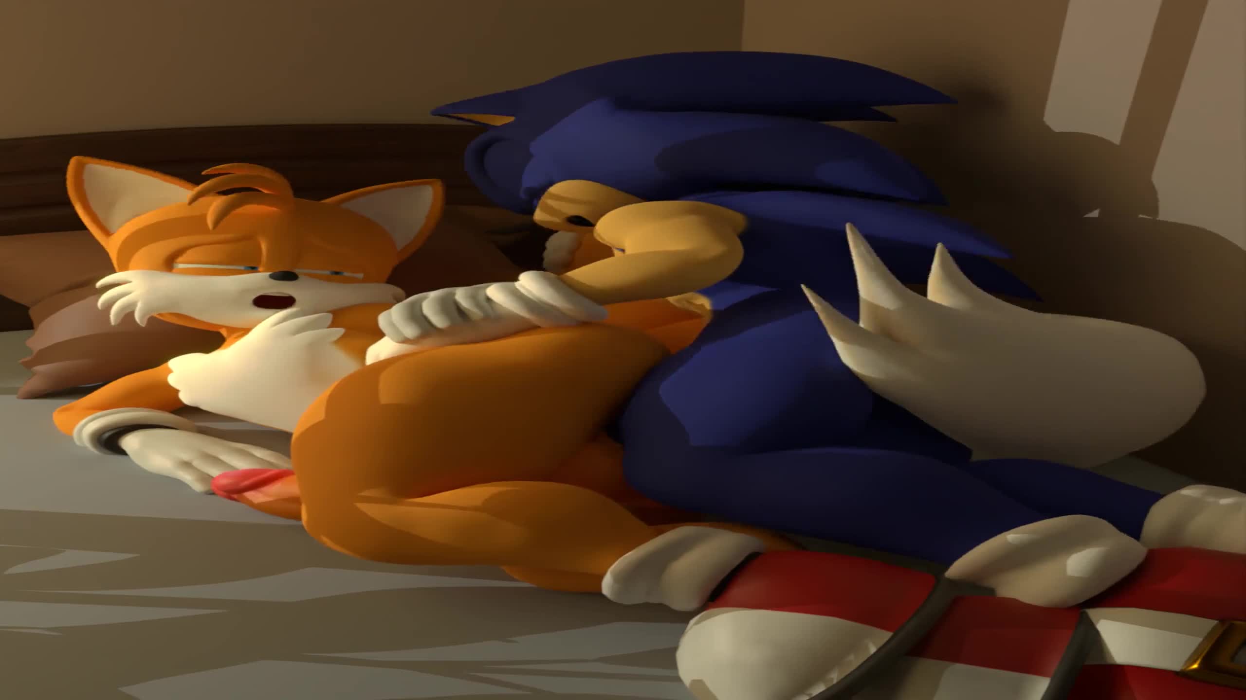 Sega Sonic The Hedgehog 2 Tails 1440p - Lewd.ninja