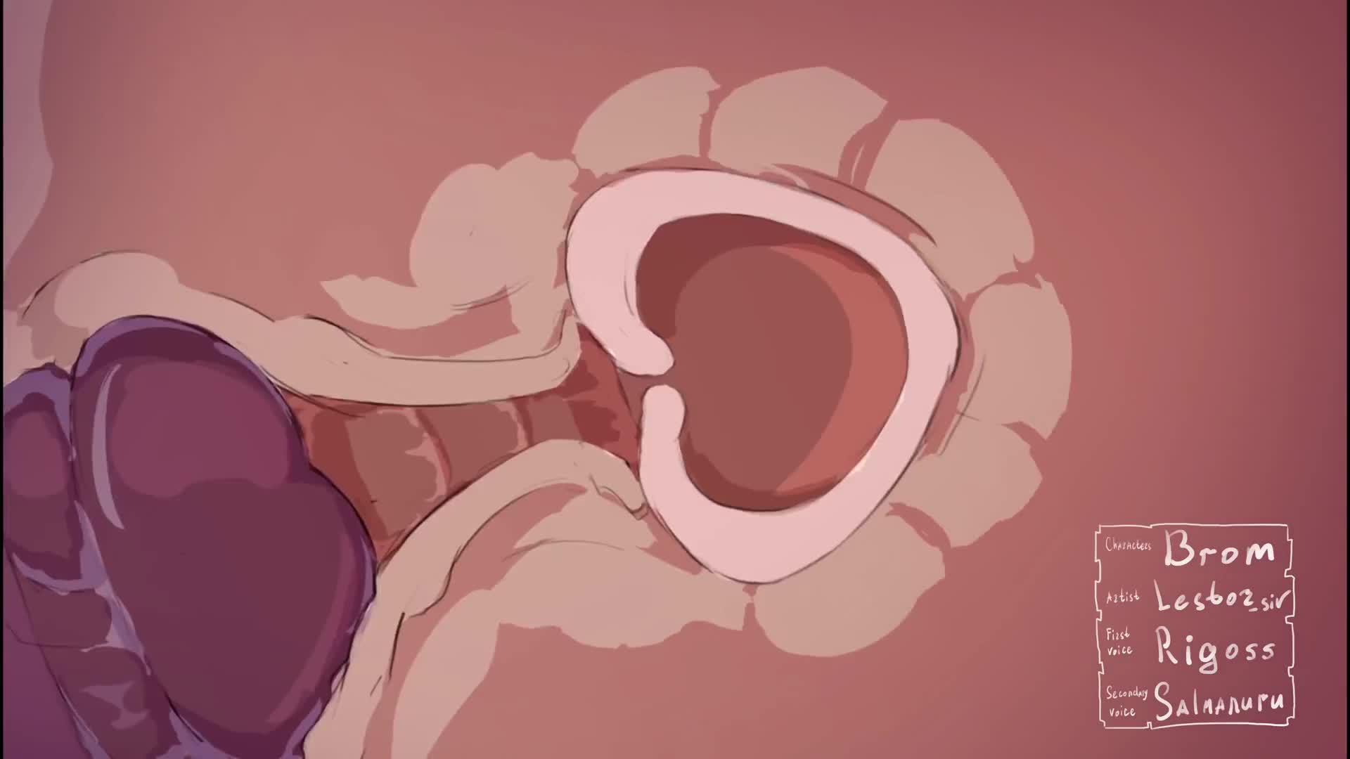 Original Animal Genitalia 2d - Lewd.ninja