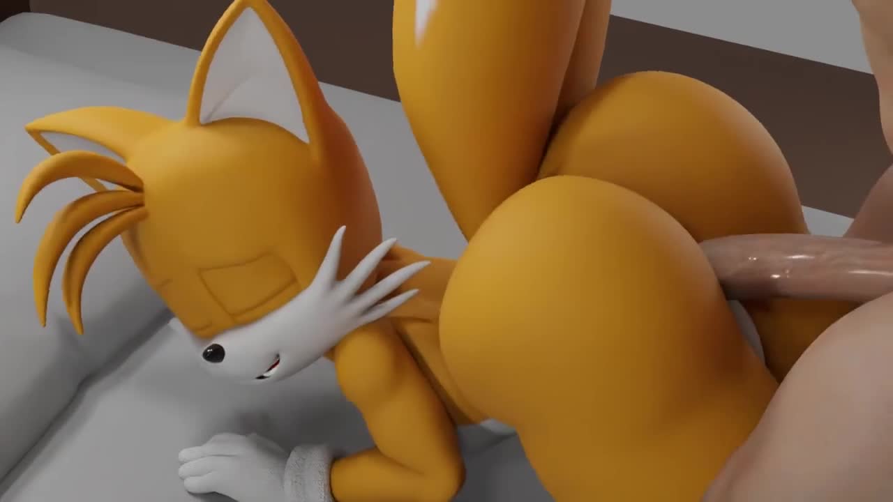 Sonic x tails rule34