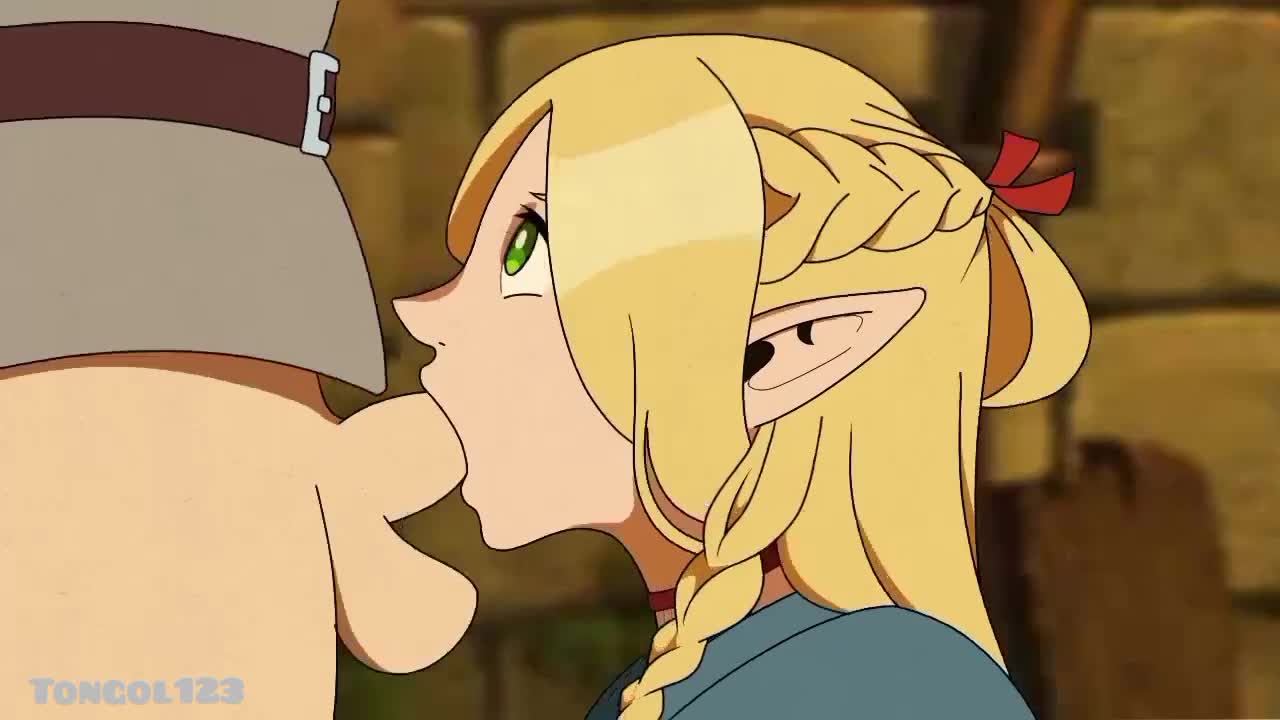 Dungeon Meshi Marcille Donato 1boy Animated - Lewd.ninja